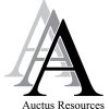 Auctus Resources